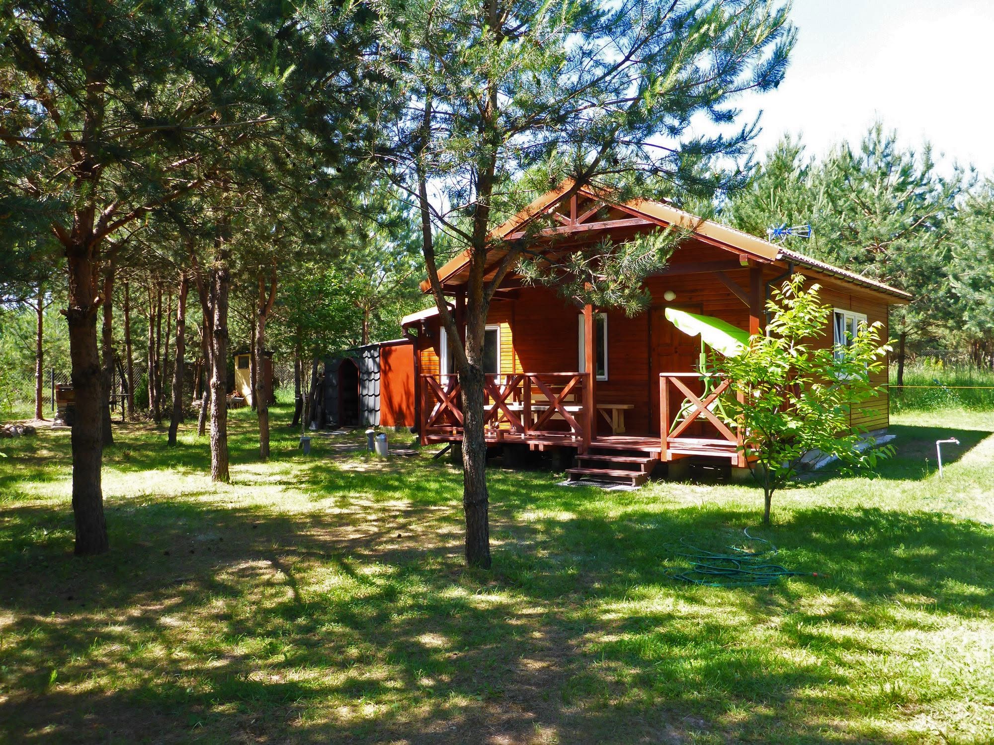 Zdjęcie wnętrza lub otoczenia 8